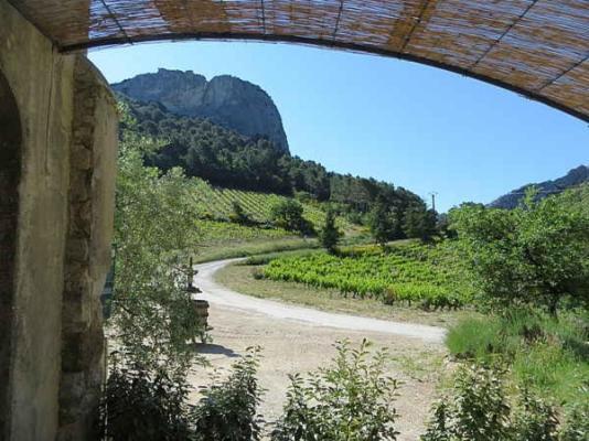 Domaine De Cassan Villa Lafare Exterior photo